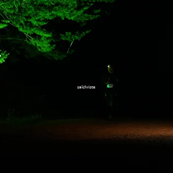 Runner Photo 5252709