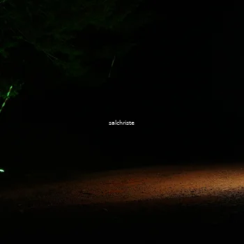 Runner Photo 5252716