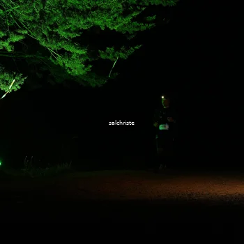 Runner Photo 5252718