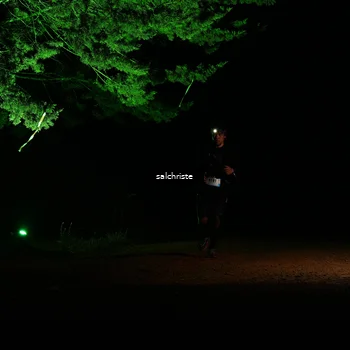 Runner Photo 5252724