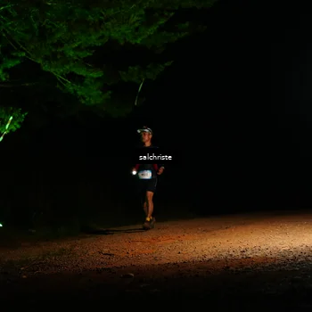 Runner Photo 5252739