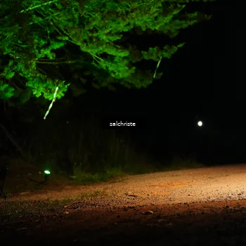 Runner Photo 5252740