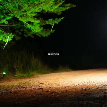 Runner Photo 5252747