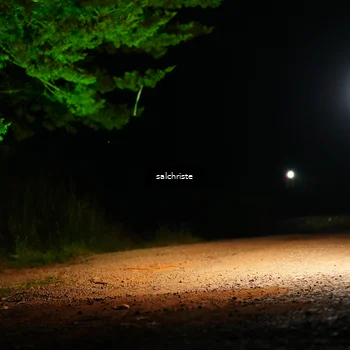 Runner Photo 5252748