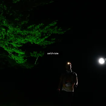 Runner Photo 5252773