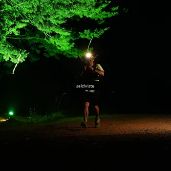 Runner Photo 5252784