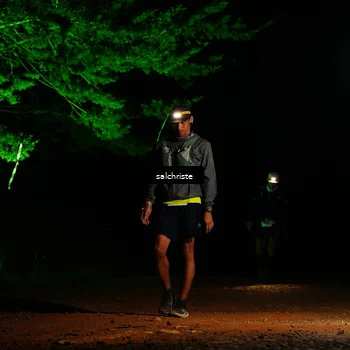 Runner Photo 5252796