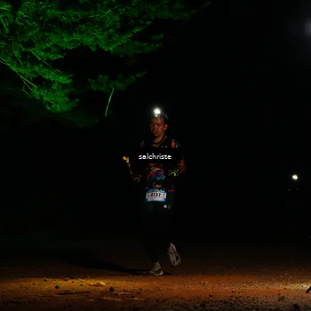 Runner Photo 5252813