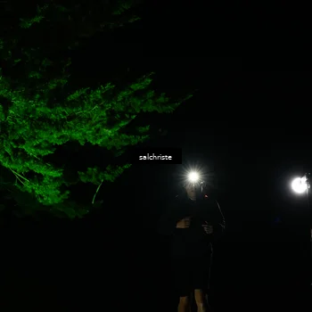 Runner Photo 5252830