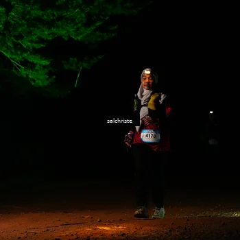 Runner Photo 5252832