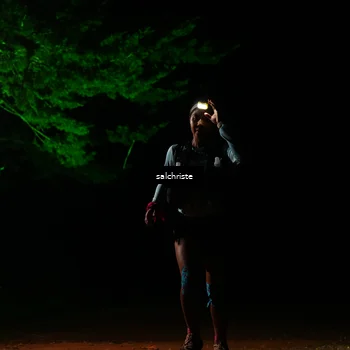 Runner Photo 5252837