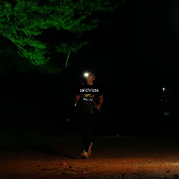 Runner Photo 5252838