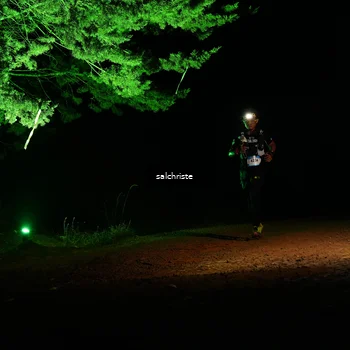 Runner Photo 5252843
