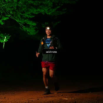 Runner Photo 5252853