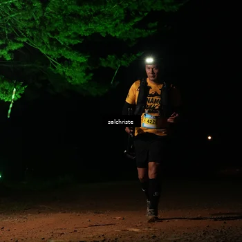 Runner Photo 5252894