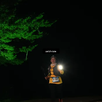Runner Photo 5252996