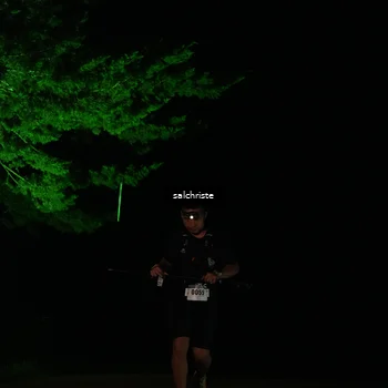 Runner Photo 5253038