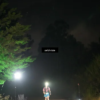 Runner Photo 5253153