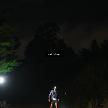 Runner Photo 5253154