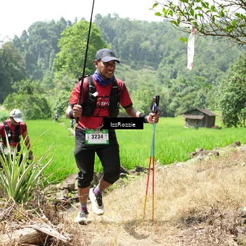 Runner Photo 5253159