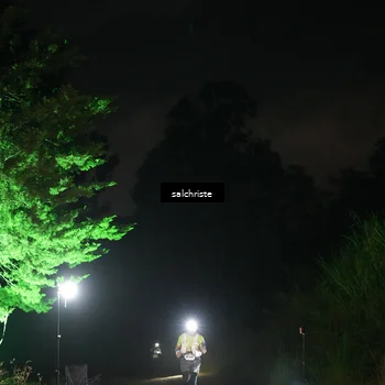Runner Photo 5253165