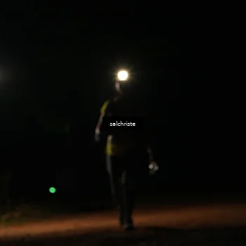 Runner Photo 5253230