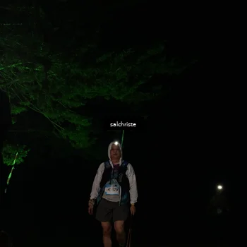 Runner Photo 5253237