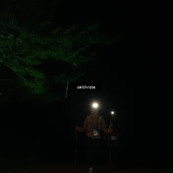 Runner Photo 5253242