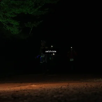 Runner Photo 5253294