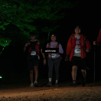Runner Photo 5253342