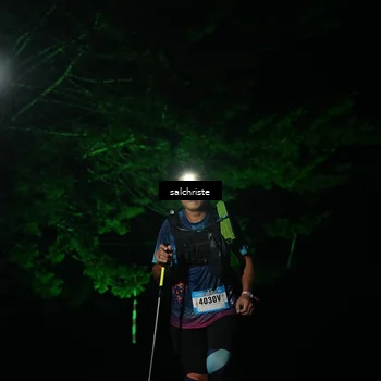 Runner Photo 5253348