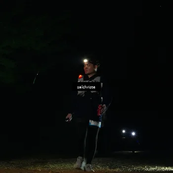 Runner Photo 5253496