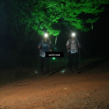 Runner Photo 5253548
