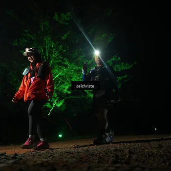 Runner Photo 5253566