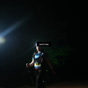 Runner Photo 5253591
