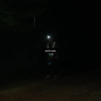 Runner Photo 5253593
