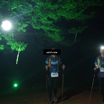 Runner Photo 5253597