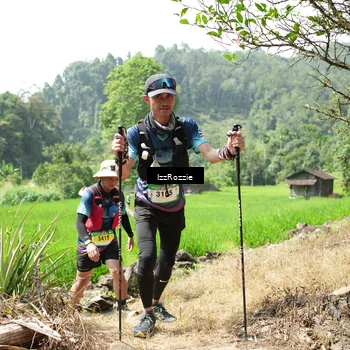 Runner Photo 5253681