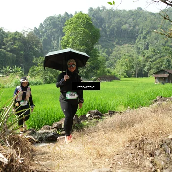 Runner Photo 5254251