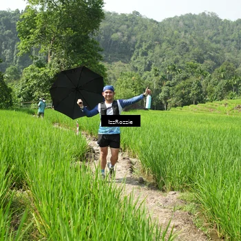 Runner Photo 5254570