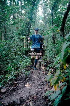 Runner Photo 5254797