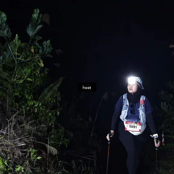 Runner Photo 5255684