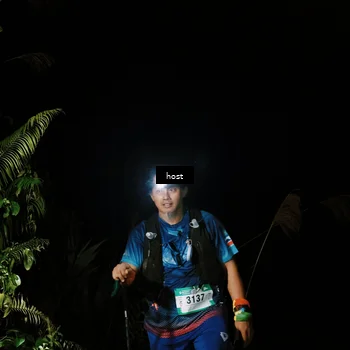 Runner Photo 5255695