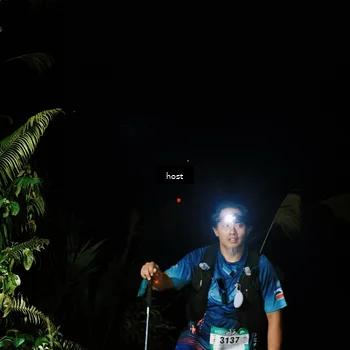 Runner Photo 5255697
