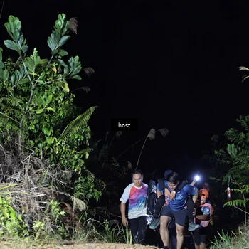 Runner Photo 5255736