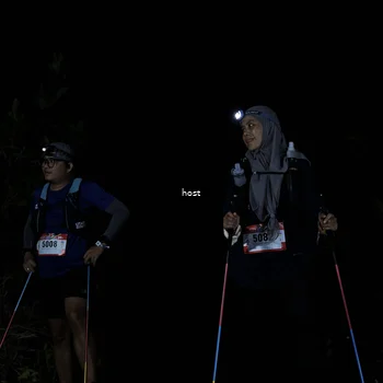 Runner Photo 5255752