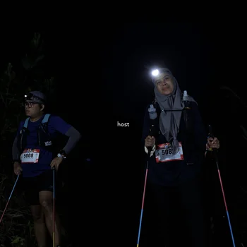 Runner Photo 5255753
