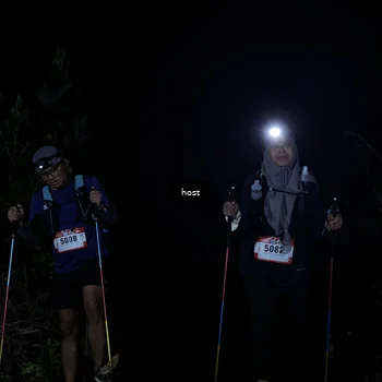 Runner Photo 5255757