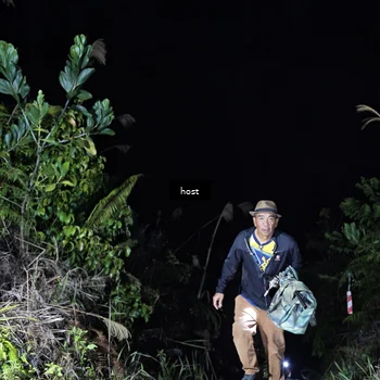 Runner Photo 5255773