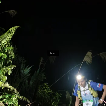 Runner Photo 5255822
